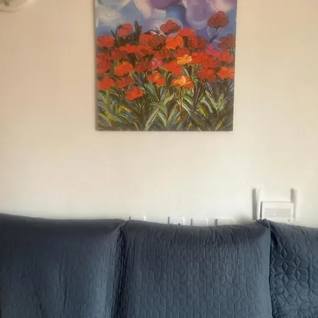 Joven Pura Apartment *